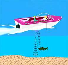 Fish finder